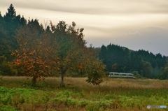 晩秋の会津路！