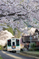桜満開の湯野上温泉駅‼