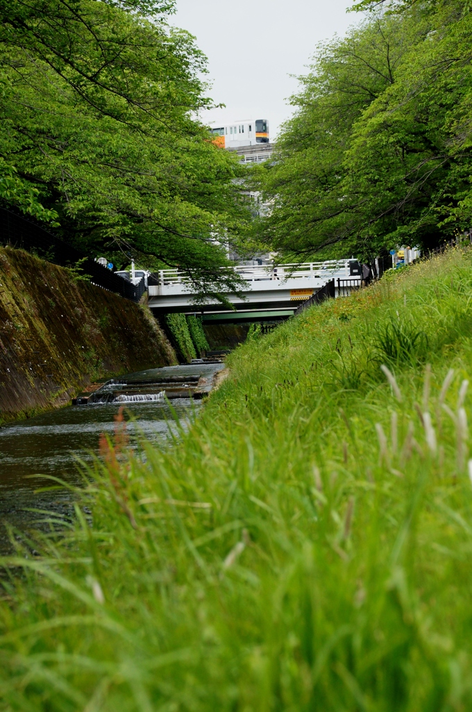 私の散歩道③