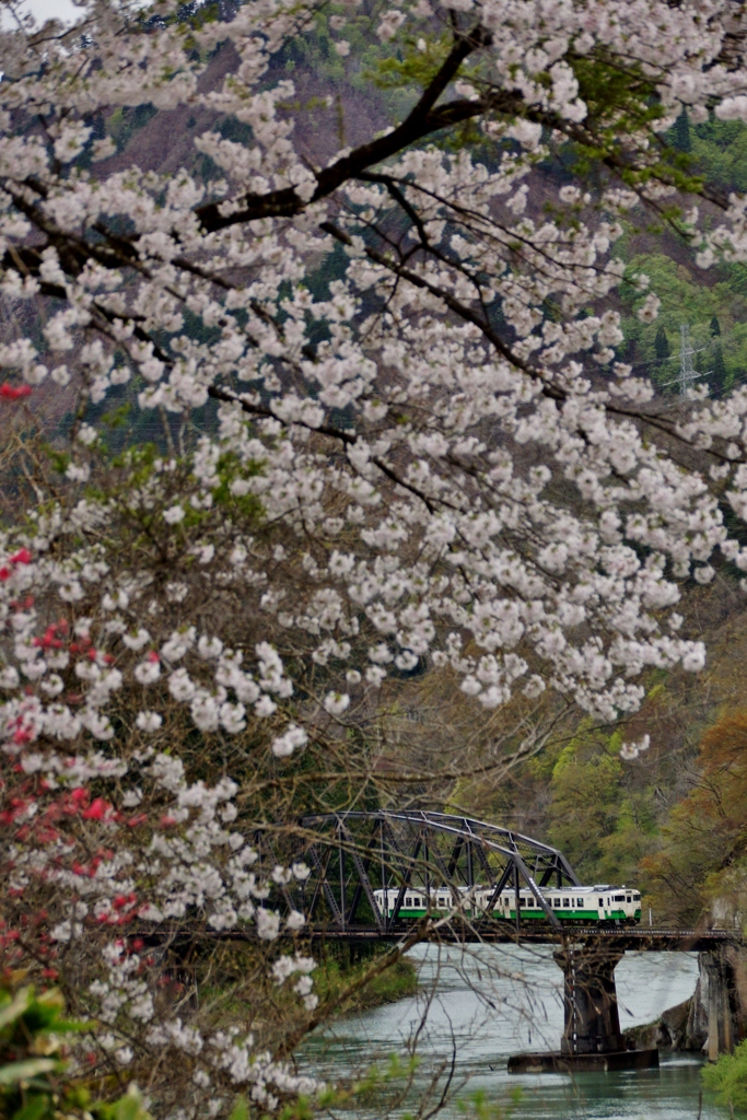 只見線第４橋梁　平成最後の春③