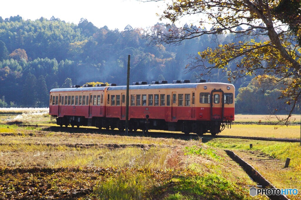 去り行くキハ200！
