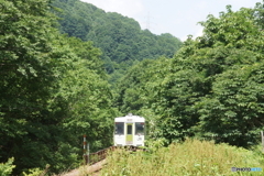 森林に吸収されるキハ110！