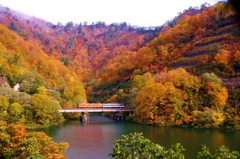 田子倉湖の紅葉！