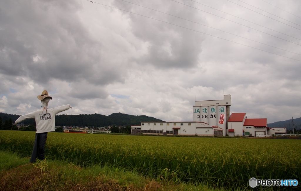 田園風景を走るキハ！