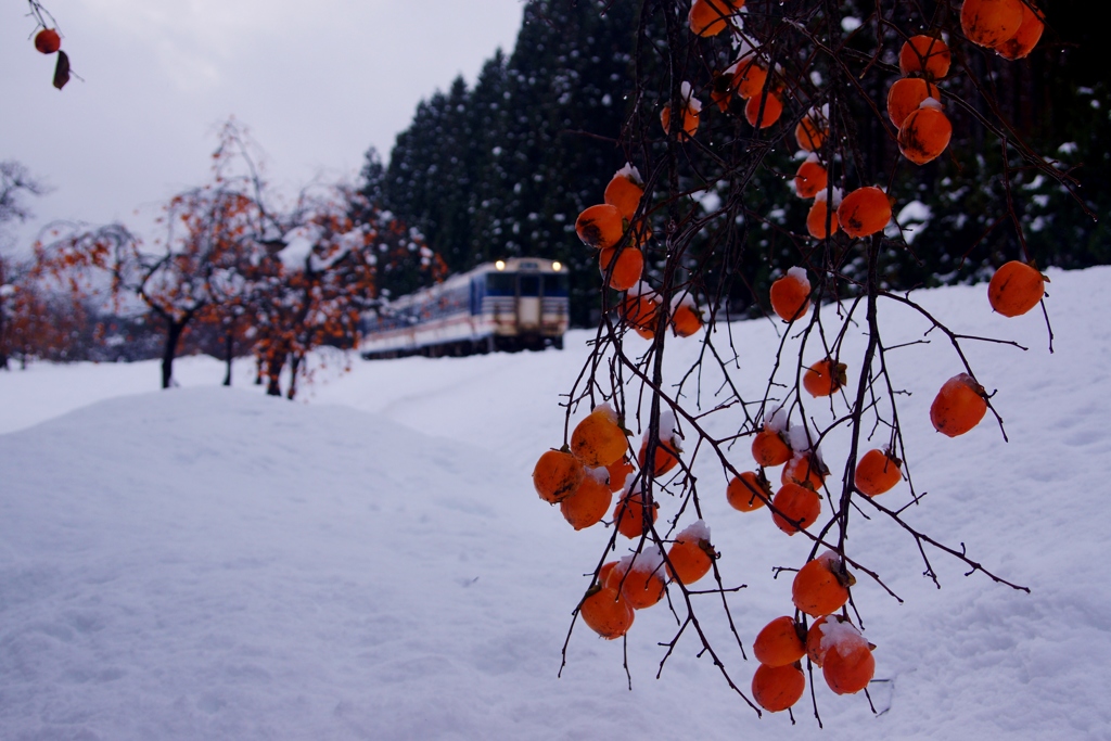 小布瀬原の雪景色！