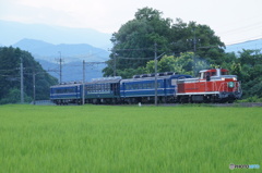 倉ケ崎の田園風景にDL「大樹」！