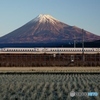 赤富士と新幹線！