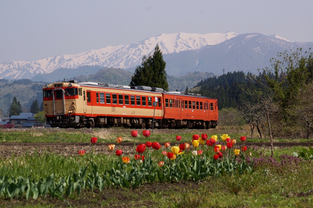 レア編成に上野尻の絶景！