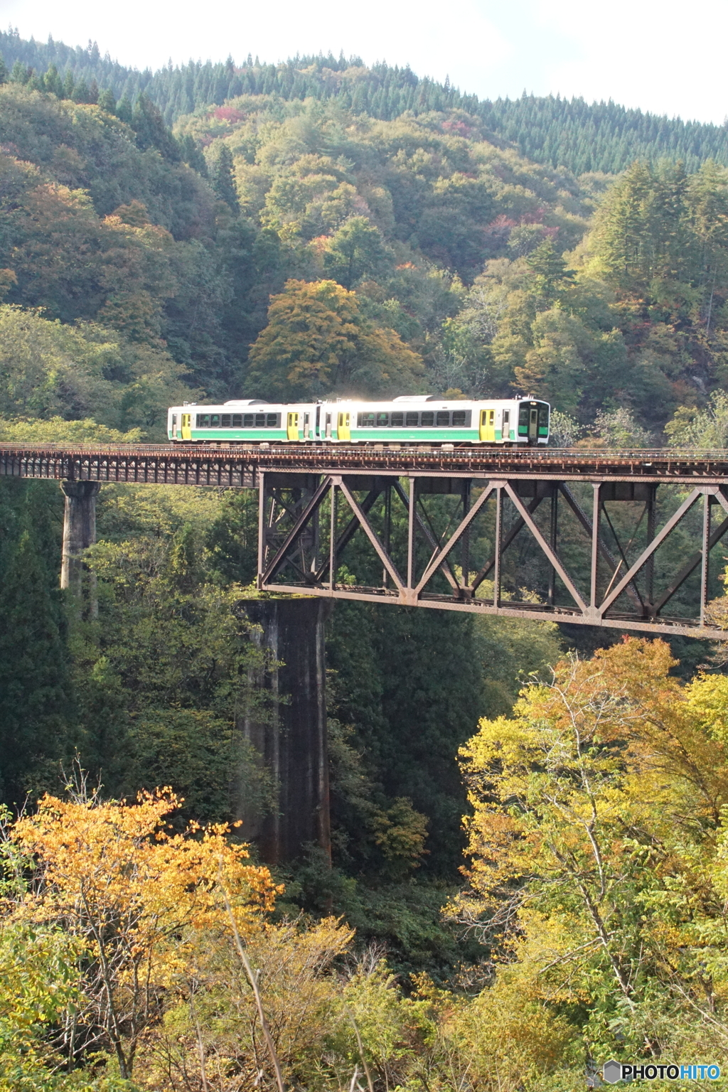 紅葉はこれから！