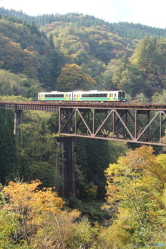 紅葉はこれから！