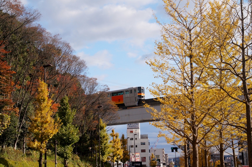 多摩市の晩秋！⑤