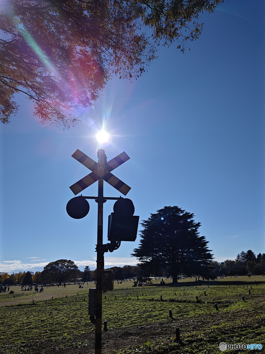 公園の中に踏切？