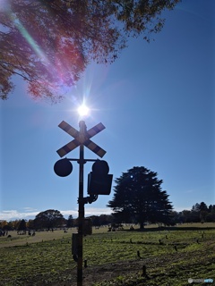 公園の中に踏切？