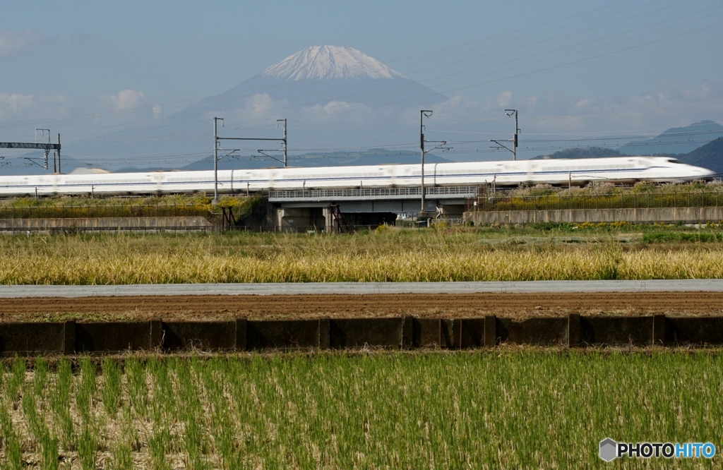 疾走の新幹線と静態の富士山！