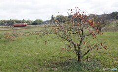 上総川間田園風景！