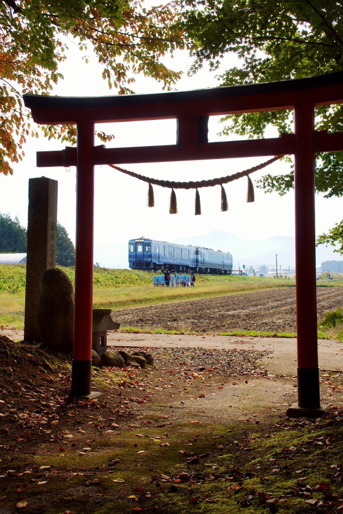 春日神社ほのぼのとした光景！