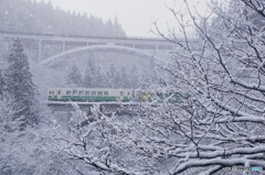 なごり雪で着雪　雪の花が咲く！