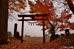 紅葉と神社の鳥居と只見線！