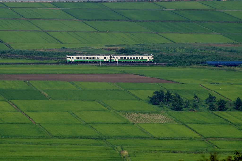 グリーン色のパッチワーク！