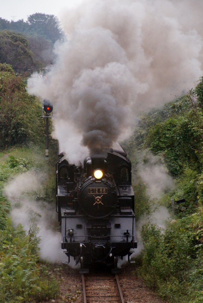 久しぶりの真岡鉄道！②