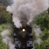 久しぶりの真岡鉄道！②