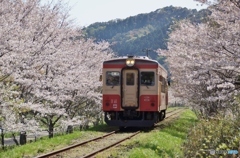 いすみ鉄道の春①～⑦の中の④