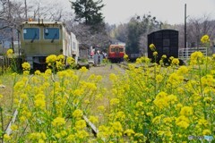 里見駅　車両勢揃い！