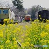 里見駅　車両勢揃い！
