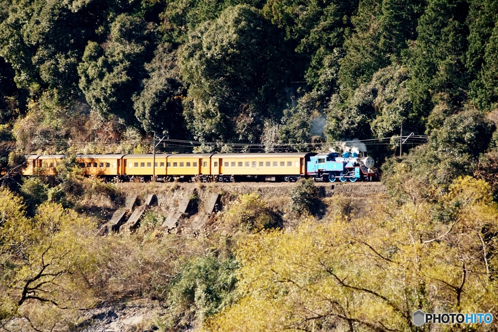 大井川鉄道　トーマス号！②