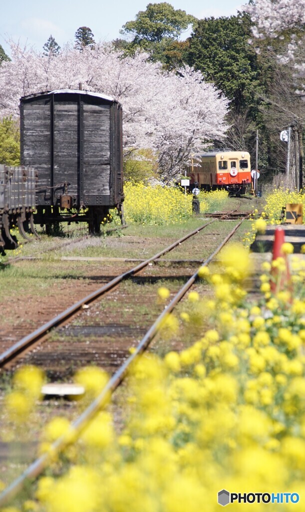 小湊鉄道の里見駅　列車接近！