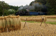 SL「大樹」にハサガケの風景①