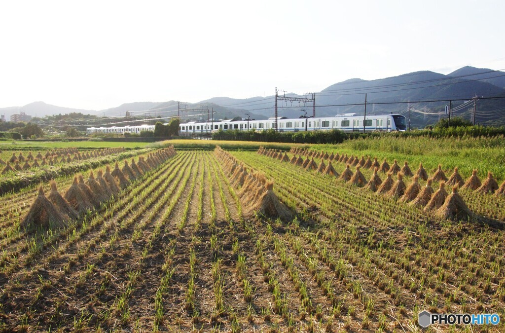 田園風景を走る小田急線！