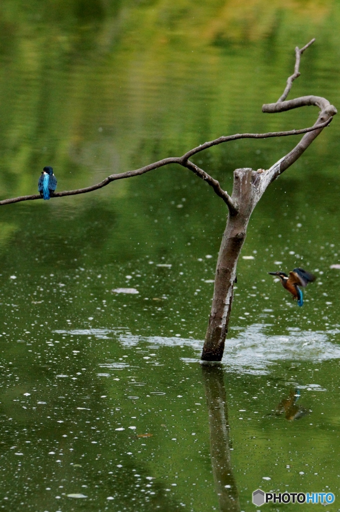 お～い！待った？