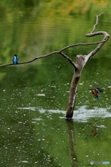 お～い！待った？