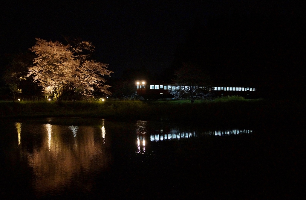 桜がライトアップの駅に進入するキハ200！