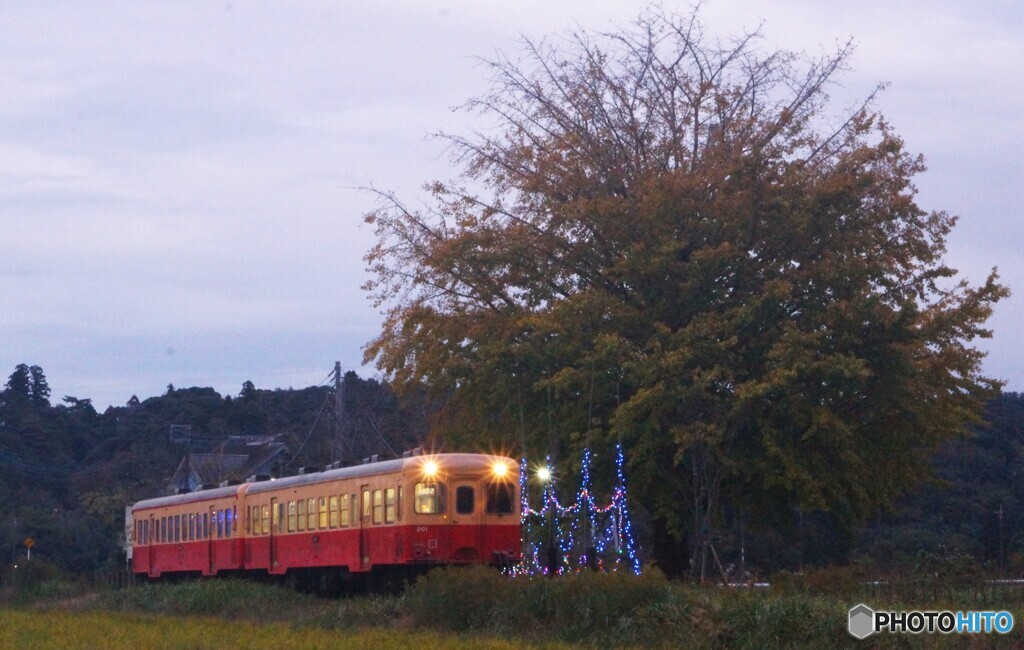 上総久保駅イルミネーション装飾点灯直後！