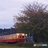 上総久保駅イルミネーション装飾点灯直後！