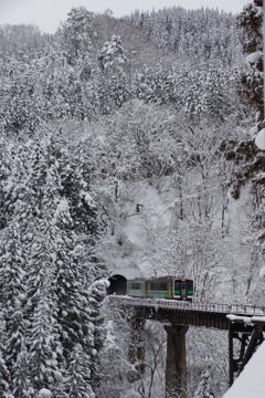 寒波による着雪が綺麗な沿線！③