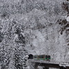 寒波による着雪が綺麗な沿線！③