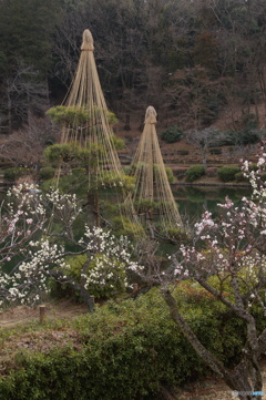 雪つりと梅の花と松