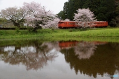 小湊鉄道　飯給駅！