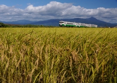 倒れないでね①