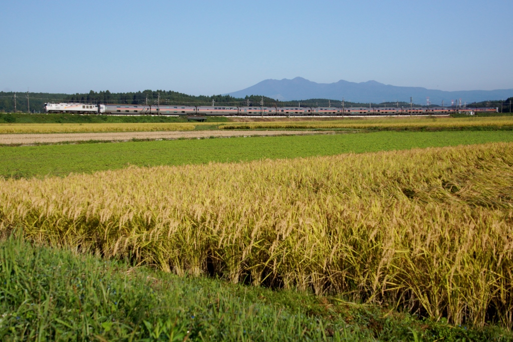 カシオペア・那須連山・秋の実り共演