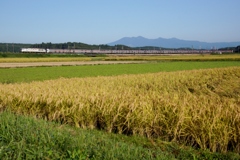 カシオペア・那須連山・秋の実り共演