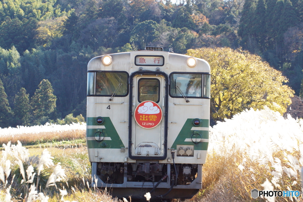 観光急行現る！