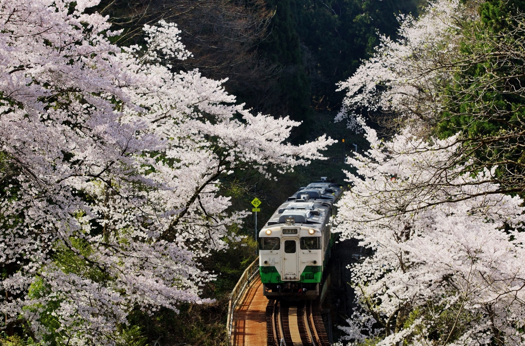 月光寺プチ俯瞰‼