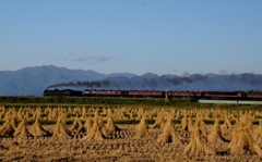 整然と並ぶ藁ボッチに汽車！