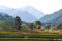 春めいた里山を走る「タラコ」のキハ！