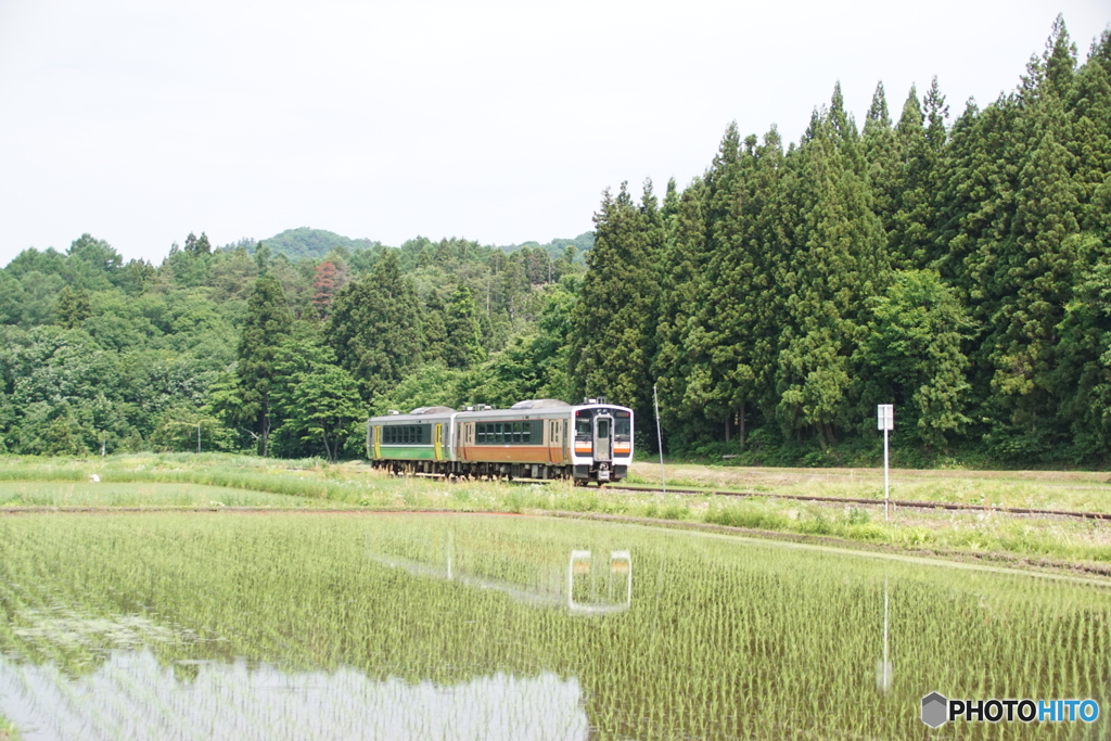 早苗の水田を往くキハE120！