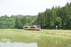 早苗の水田を往くキハE120！